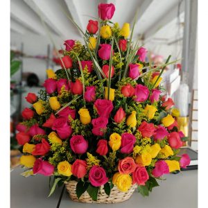 Rosas en colores- floristeria cali